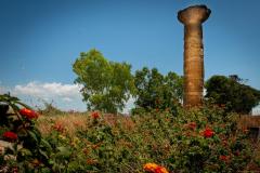 8.1-Parco-Archeo-Gela-Colonna-dorica